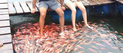 1487739362maduriver_6