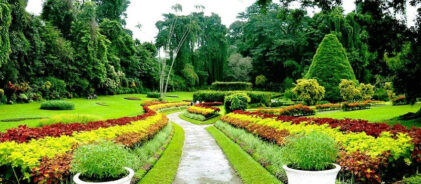 472864805Kandy_Botanical_Garden