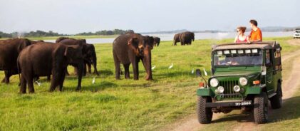 7c1c27135fa78fe62b5434f4054b5e7b - Copy