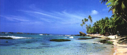 87664a8fde7c96590dc5c3a6df2ad907