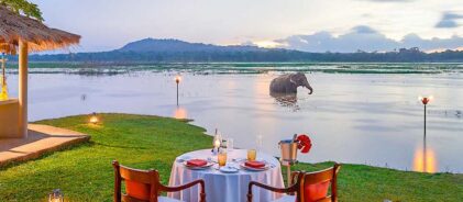 Habarana-Village-by-Cinnamon-new