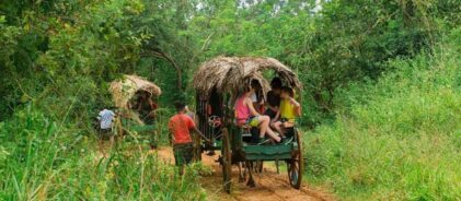 private-village-tour-in-sigiriya-with-lunch_587287