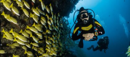 sebastian-pena-lambarri-7i5HMCGupVw-unsplash-min